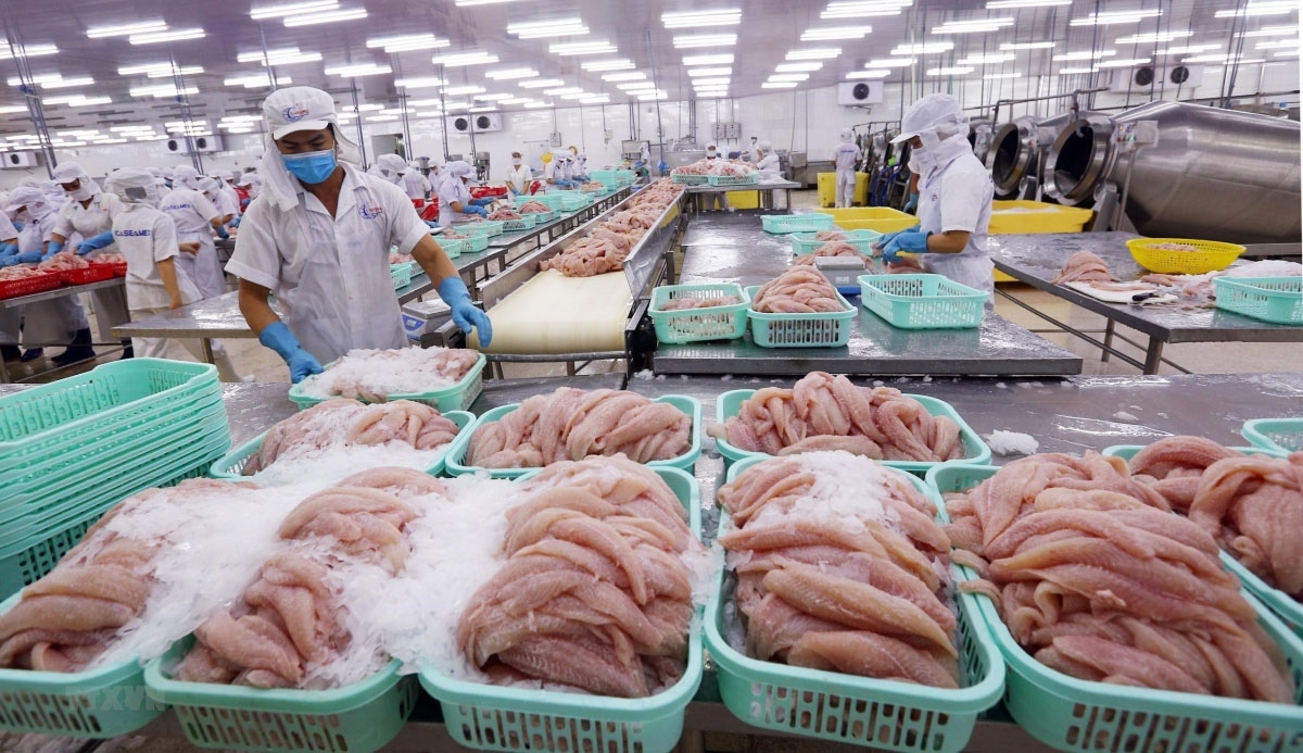 Vietnam seeks to increase pangasius exports to Australia